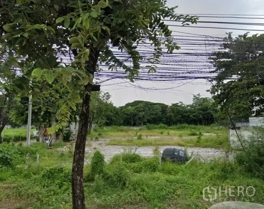 ที่ดิน ให้เช่าหรือขายในHuai Khwang, Bangkok - ภาพมุมต่ำของที่ดินว่างถมเรียบ มีหญ้า ต้นไม้ริมถนน และสายไฟฟ้าเหนือศีรษะ