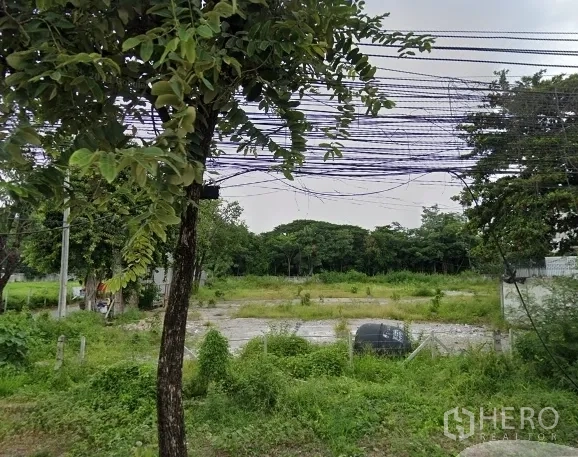 ที่ดิน ให้เช่าหรือขายในHuai Khwang, Bangkok - ภาพมุมต่ำของที่ดินว่างถมเรียบ มีหญ้า ต้นไม้ริมถนน และสายไฟฟ้าเหนือศีรษะ