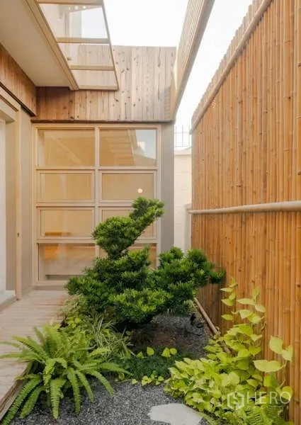 Detached House for sale in Bang Phli, Samut Prakan - Zen pocket garden with shaped shrub, ferns, gravel, and wood cladding along a bamboo screen.