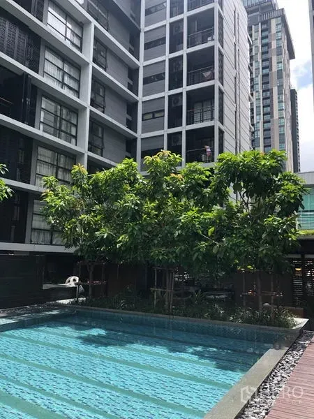 公寓 出租在Watthana, Bangkok - 室外游泳池，绿树环绕，背景为现代公寓立面