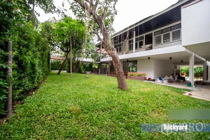 带办公室的家 出租在Khlong Toei, Bangkok - 后院草坪葱郁，树木与绿篱环绕。