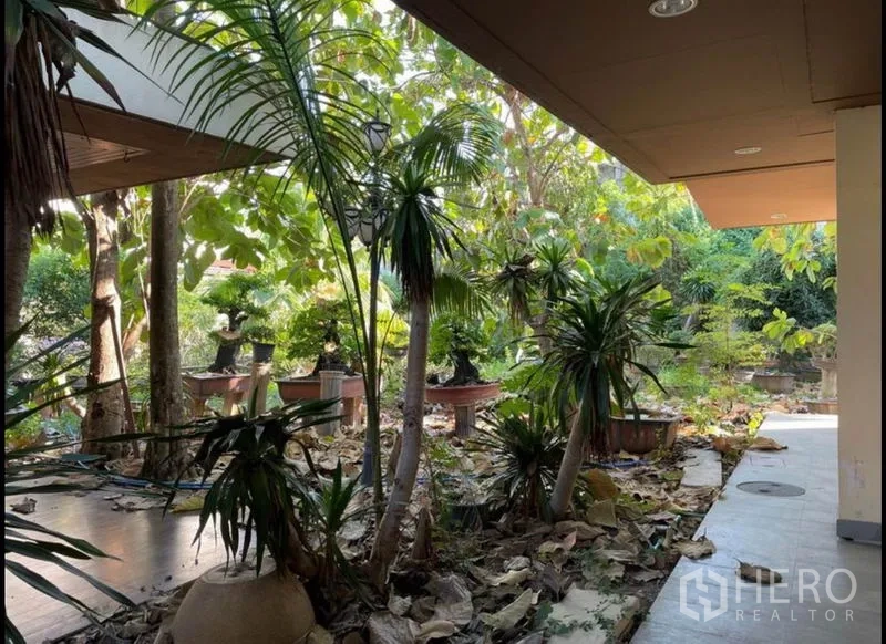 独立式住宅 出租在Khlong Toei, Bangkok - 树荫下的热带花园，靠近带顶露台的区域。