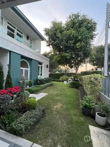 บ้าน ขายในPrawet, Bangkok - สวนข้างบ้านจัดแต่งสนามหญ้า ต้นไม้ใหญ่ และกระถางต้นไม้ ข้างตัวบ้าน