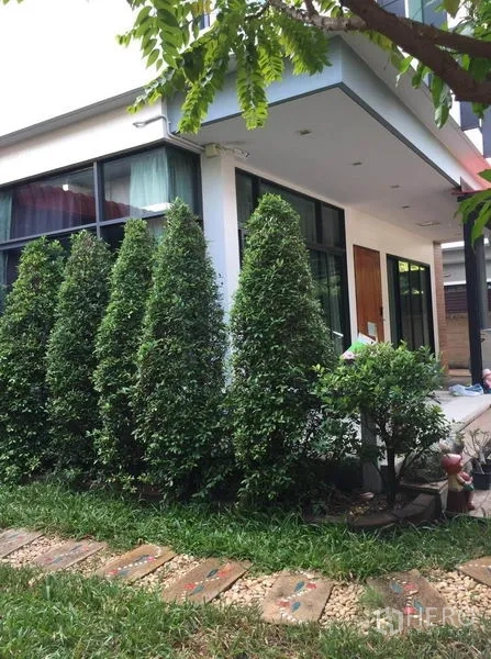 独立式住宅 出售在Pak Kret, Nonthaburi - 现代白色外立面，转角窗与整齐绿篱沿小径排布。