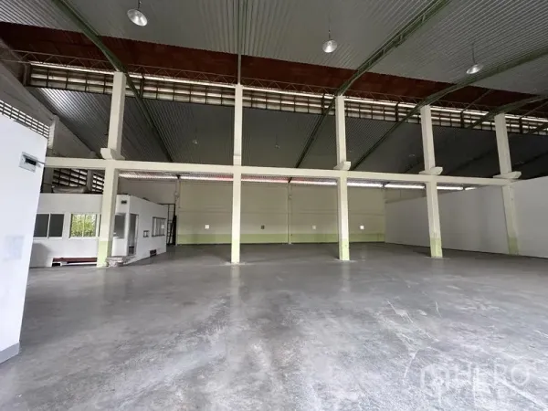 Warehouse for rent in Lat Krabang, Bangkok - Spacious high‑ceiling warehouse interior with polished concrete floor, steel columns and ample lighting.