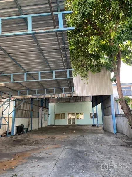 Warehouse for rent or sale in Bang Na, Bangkok - Covered loading bay of a Bang Na warehouse with steel roof, wide driveway and a mature tree.