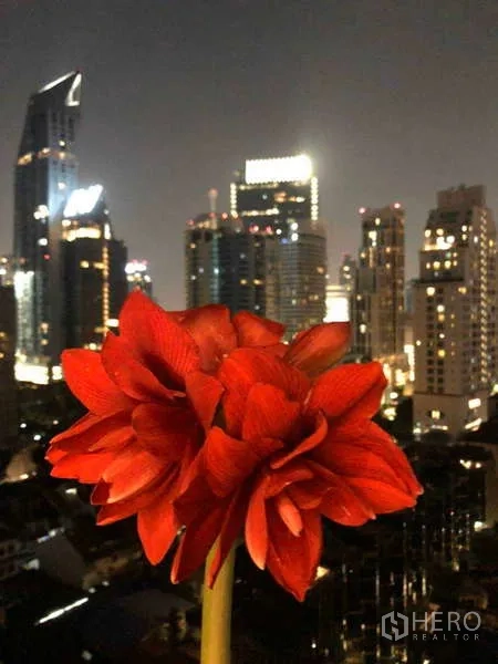 คอนโด ขายในWatthana, Bangkok - ดอกไม้สีแดงที่ระเบียงกับฉากหลังสกายไลน์กรุงเทพฯยามค่ำ