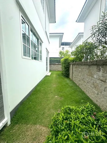 独立式住宅 出租 - 房屋与围墙之间的狭长草坪小院。