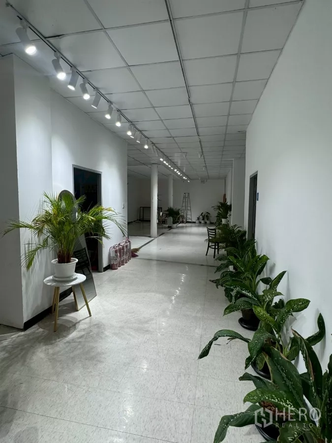 店屋 出租在Samphanthawong, Bangkok - 走廊，轨道灯照明，两侧摆放盆栽。