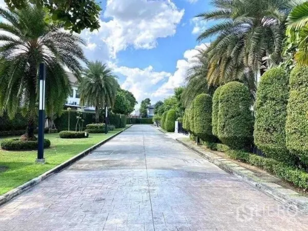 Detached House for sale in Saphan Sung, Bangkok - Tree‑lined internal road in a gated community with manicured hedges and palm trees under a blue sky.
