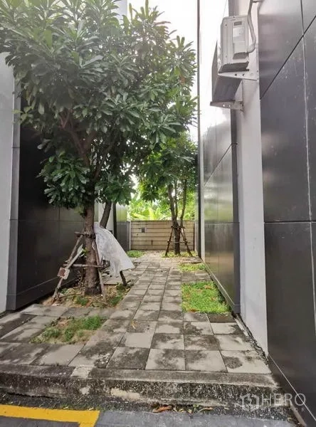 สำนักงานที่บ้าน ให้เช่าในPrawet, Bangkok - ทางเดินด้านข้างอาคาร พื้นทางเท้าพร้อมต้นไม้ให้ร่มเงา