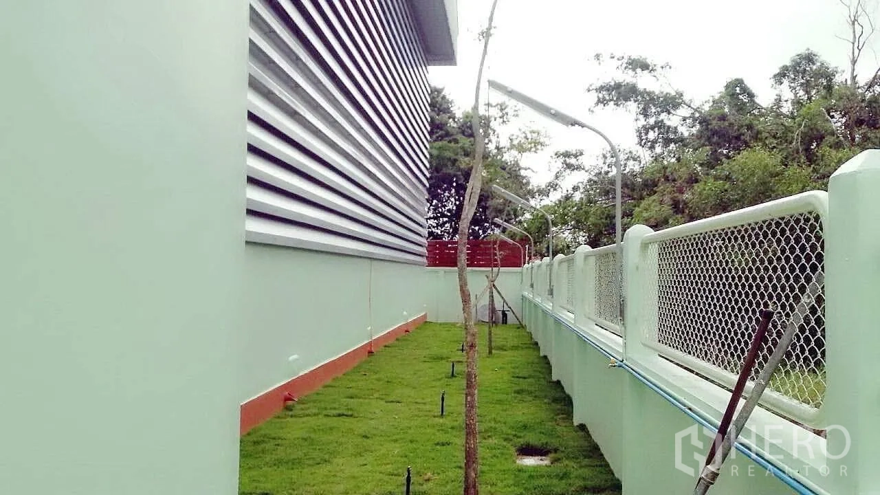 Factory for sale in Pathum Thani - Landscaped side walkway with grass, young trees and perimeter fence beside the warehouse.