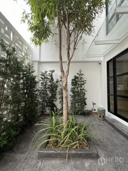 ทาวน์เฮาส์ ขายในWatthana, Bangkok - มุมใกล้ของลานต้นไม้และแนวพุ่มข้างผนังสีขาว