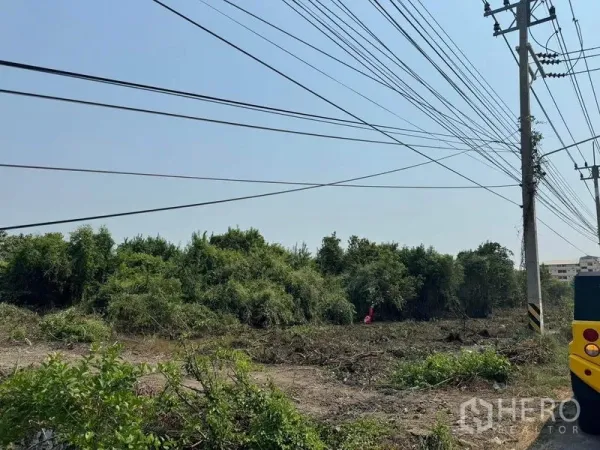 Land for sale in Mueang Samut Sakhon, Samut Sakhon - Cleared land frontage with overhead cables and mature trees along the boundary.