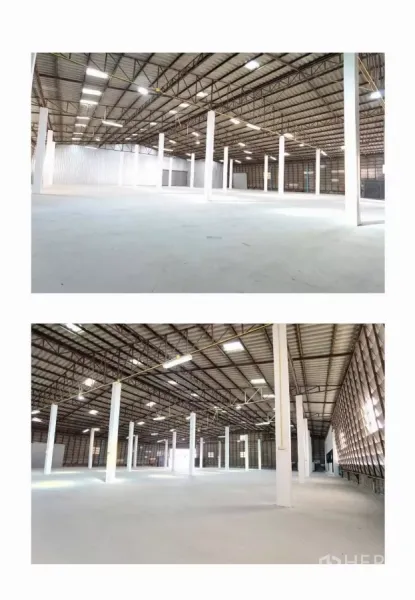 Warehouse for rent in Mueang Samut Prakan, Samut Prakan - Open concrete warehouse floor with multiple white support pillars and metal cladding walls.