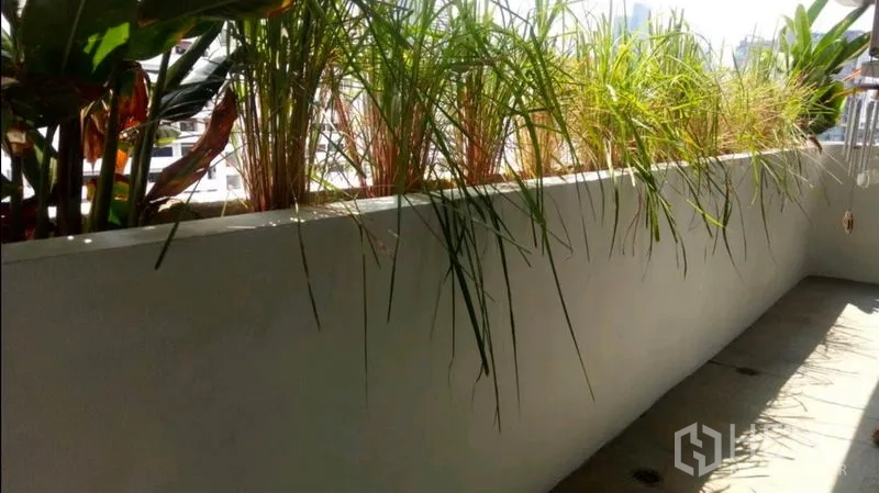 公寓 出租在Watthana, Bangkok - 阳台花槽，绿植与部分城市景致