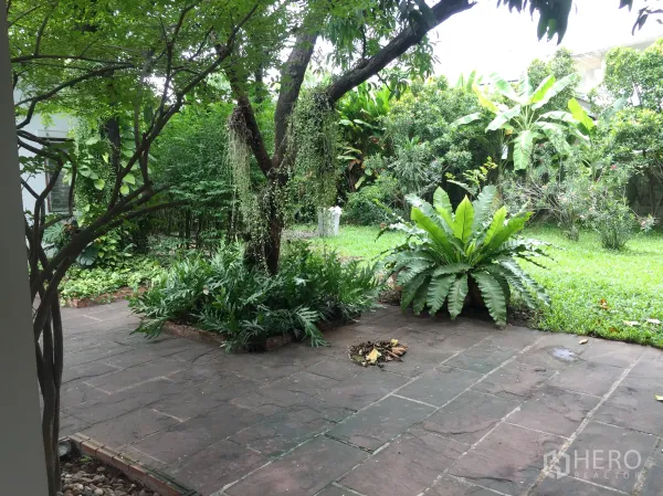 บ้าน ให้เช่าในKhlong Toei, Bangkok - สวนร่มรื่นพร้อมต้นไม้ใหญ่ สนามหญ้า และลานทางเดินหินของบ้านเดี่ยว