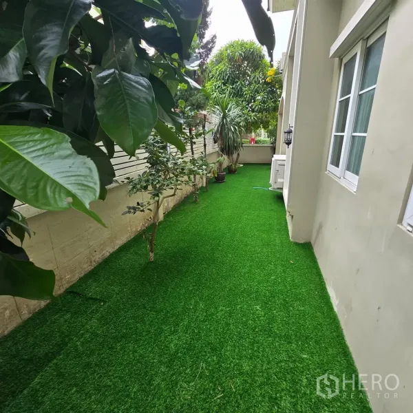 Detached House for rent in Mueang Pathum Thani, Pathum Thani - Narrow garden strip with lush green lawn and windows along the boundary fence.