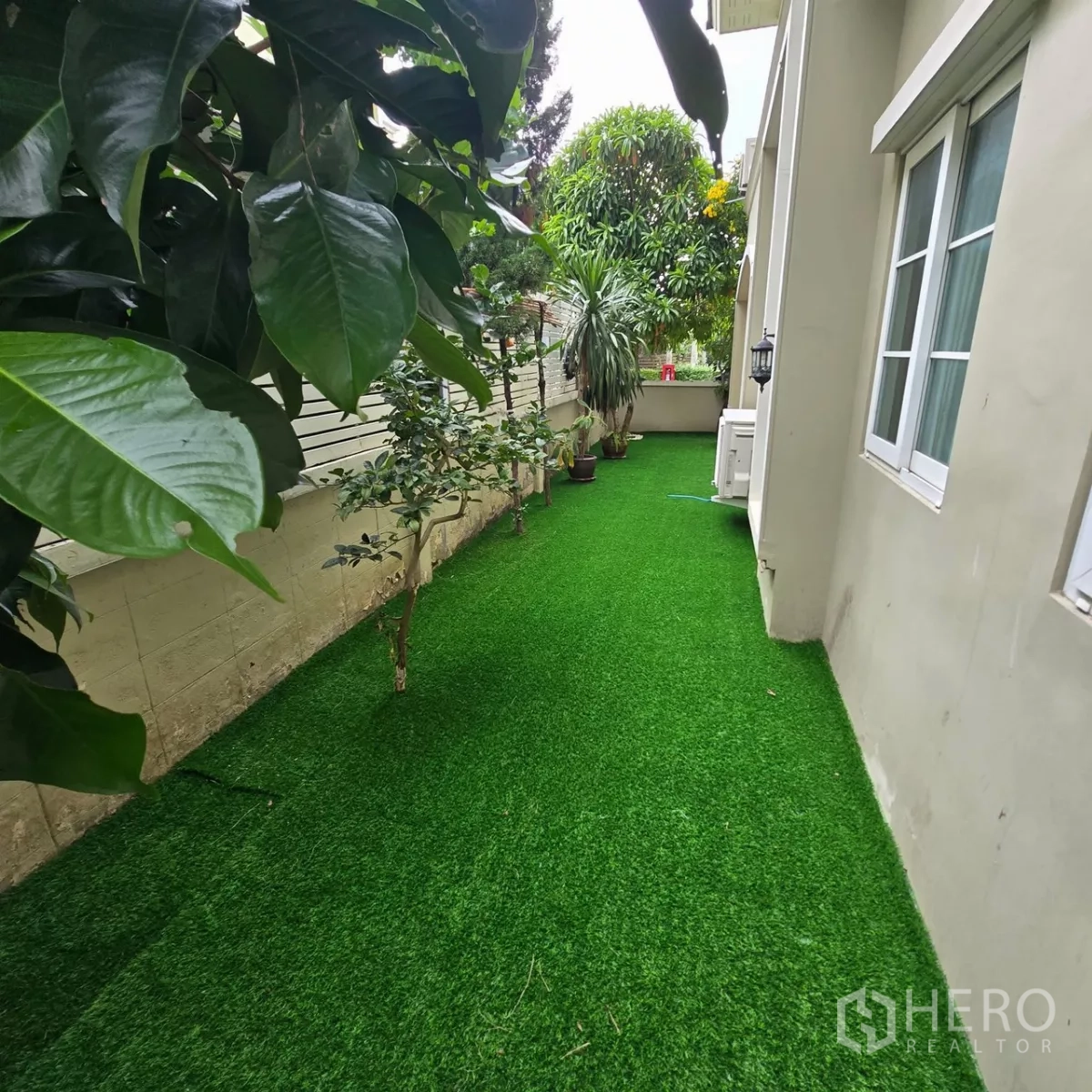 Detached House for rent in Mueang Pathum Thani, Pathum Thani - Narrow garden strip with lush green lawn and windows along the boundary fence.