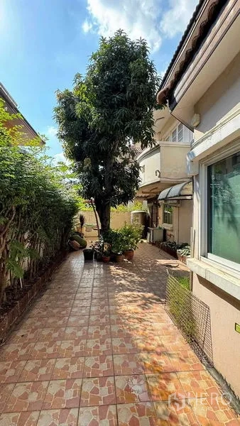 独立式住宅 出售在Mueang Pathum Thani, Pathum Thani - 房屋侧边铺砖步道，植有成树与绿篱，私密清爽。