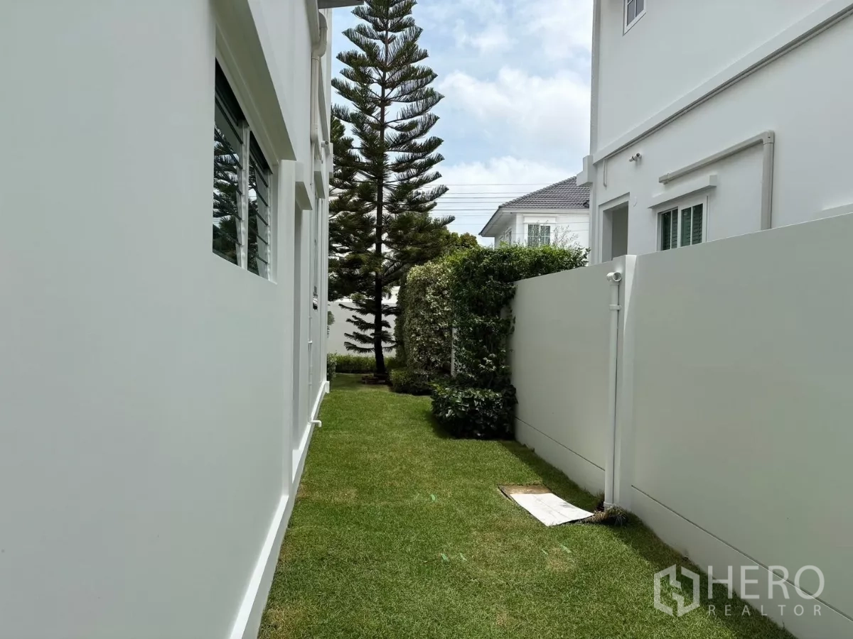 Detached House for rent or sale in Bang Phli, Samut Prakan - Green strip lawn between the house and boundary wall with evergreen plants.