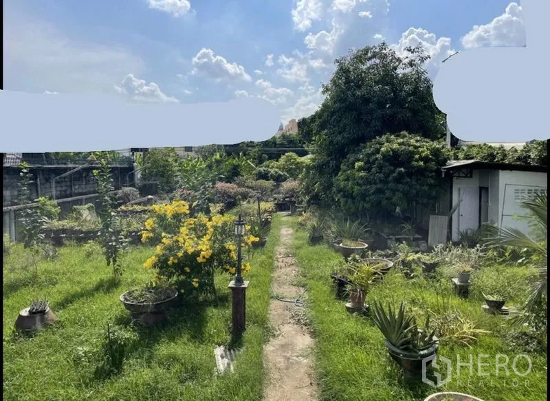 Land for sale in Suan Luang, Bangkok - Expansive grassy garden with yellow flowering shrubs, pathway and a small outbuilding.