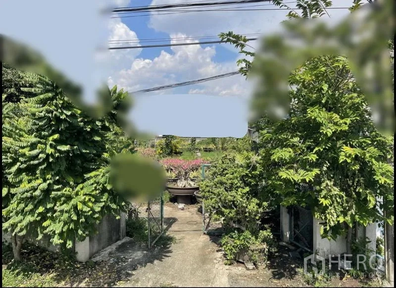 Land for sale in Suan Luang, Bangkok - Entrance path between trees opening to landscaped land and planters under sunny sky.