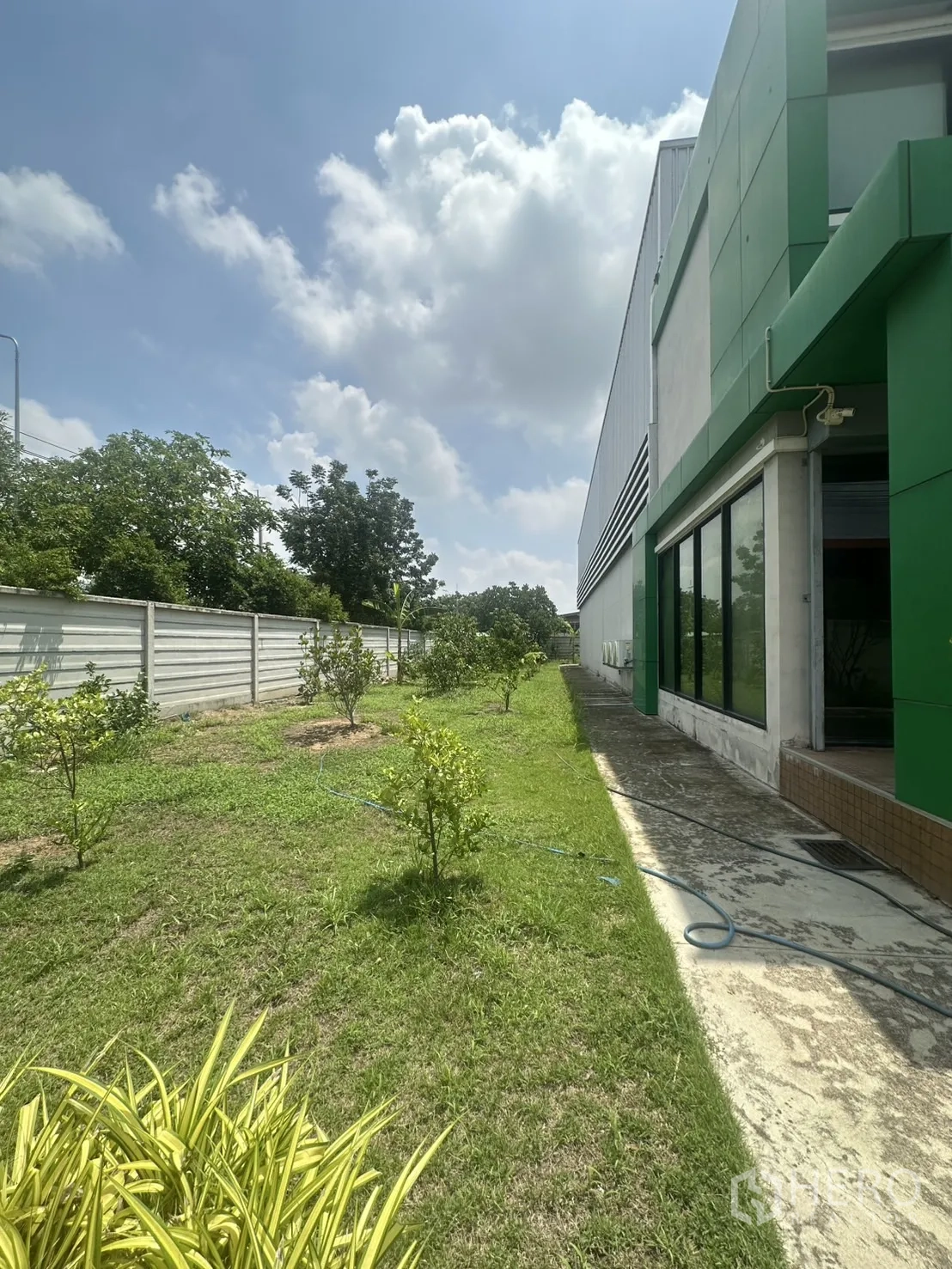 货栈 出售在Bang Len, Nakhon Pathom - 仓库侧边的绿化草地与幼树