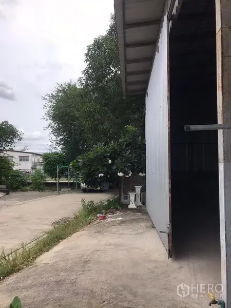คลังสินค้า ให้เช่าในBang Kapi, Bangkok - ด้านข้างอาคารโกดังผนังเมทัลชีท ประตูบานเลื่อน ทางวิ่งรถ และต้นไม้ร่มรื่น