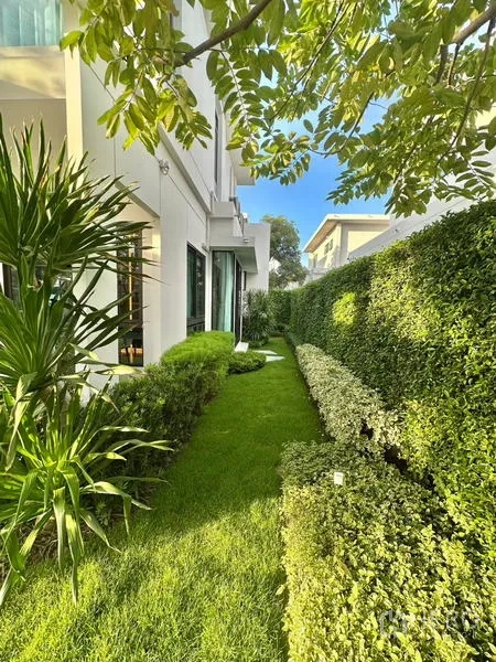 Detached House for rent in Samut Prakan - Side yard with lush hedges, green lawn and tropical plants along the fence.