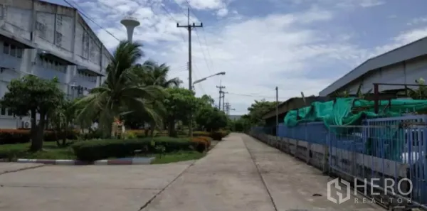 工厂 出租在Bang Pakong, Chachoengsao - 两侧为工业建筑的林荫通道，种有棕榈树并有电线杆与蓝天。