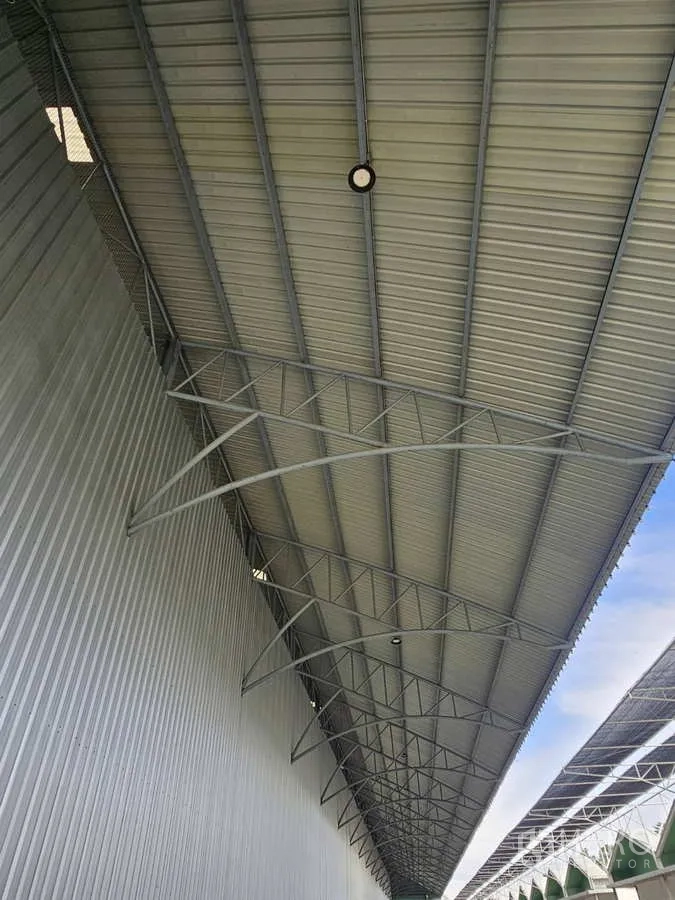 Warehouse for rent in Lam Luk Ka, Pathum Thani - Long eave canopy and exterior steel truss structure along the warehouse side.