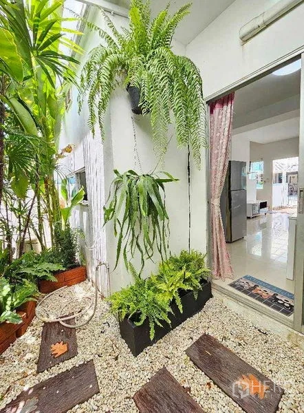 带办公室的家 出租或出售在Suan Luang, Bangkok - 侧院卵石花园，种满热带植物