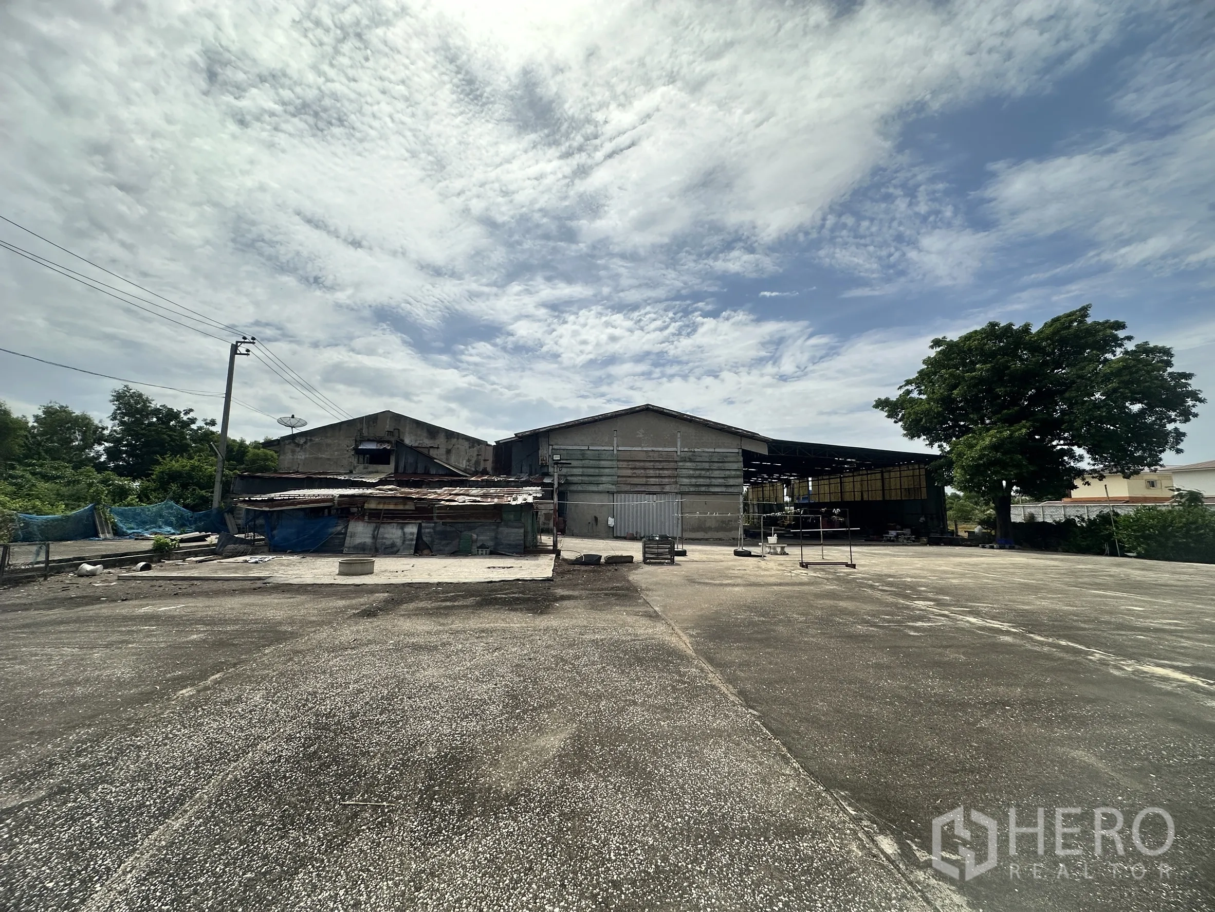 Factory for sale in Sai Noi, Nonthaburi - Large open concrete yard in front of factory buildings and a mature tree.