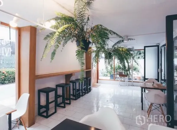 Retail Space for rent in Khlong Toei, Bangkok - Bright interior with white tiles, bar counter and stools, tables, and hanging ferns beside large windows.