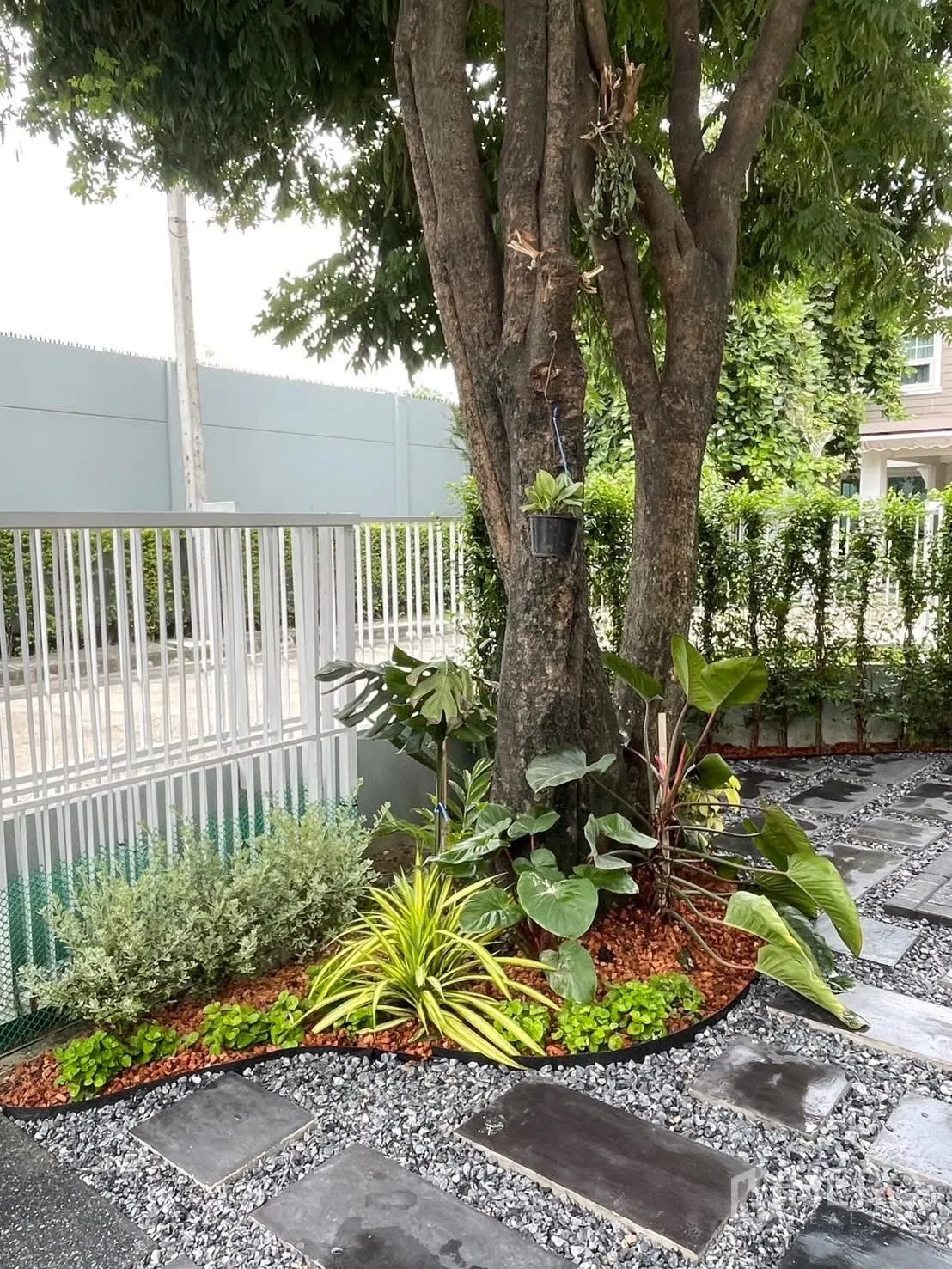 บ้านเดี่ยว for rent in Bang Phli, Samut Prakan - มุมสวนร่มรื่นใต้ต้นไม้ใหญ่ พร้อมไม้ประดับและประตูรั้วสีขาว