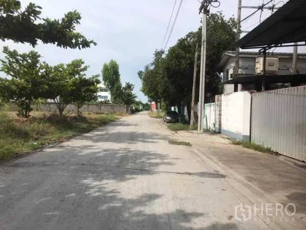 工厂 出租在Bang Phli, Samut Prakan - 通往厂区的安静道路，道路两侧有树木与电线杆。