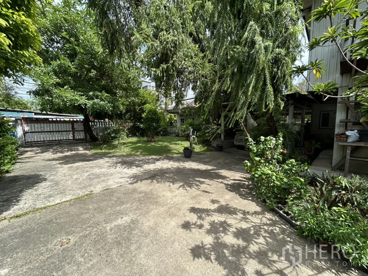 Detached House for sale in Phra Khanong, Bangkok - Open courtyard with greenery and a view of the entrance gate and trees.