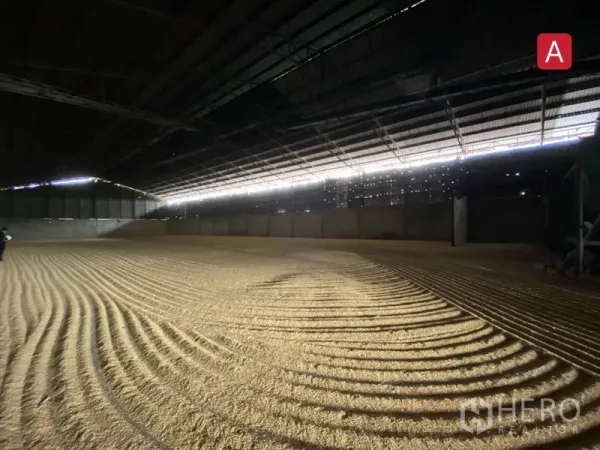 Factory for rent in Chachoengsao - Open‑span shed with natural side lighting across a large bulk‑storage floor.