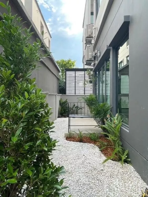 Detached House for rent in Saphan Sung, Bangkok - Side garden with white gravel, lush shrubs and a bench beside large windows.