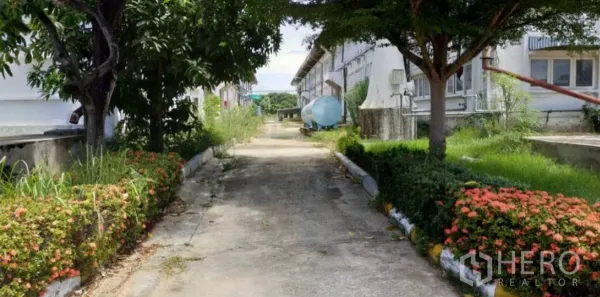 工厂 出租在Bang Pakong, Chachoengsao - 工厂楼栋间的服务通道，绿化带和大树旁放置水罐。