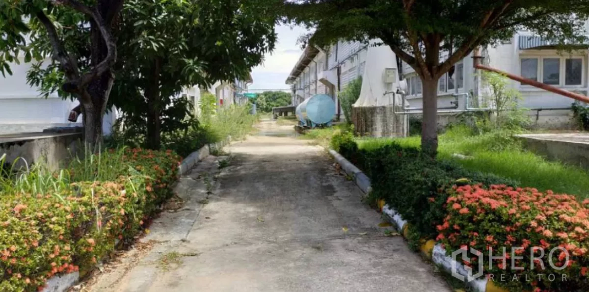 工厂 出租在Bang Pakong, Chachoengsao - 工厂楼栋间的服务通道，绿化带和大树旁放置水罐。
