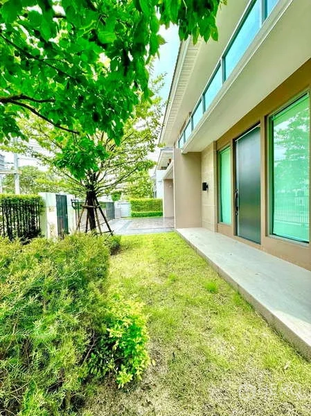 独立式住宅 出售在Lat Krabang, Bangkok - 侧院草坪与灌木，通向住宅的推拉玻璃门。