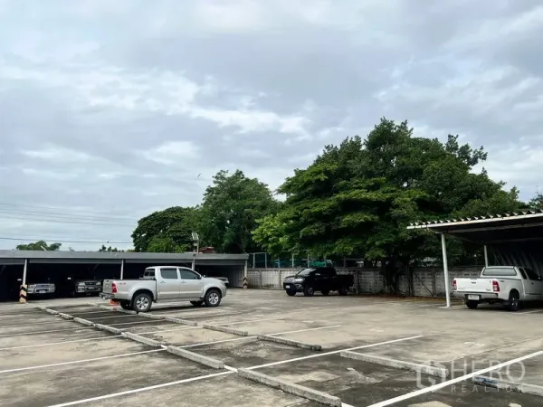 ที่ดิน ให้เช่าในBang Na, Bangkok - ลานกว้างมีช่องจอดรถ เสริมด้วยต้นไม้ใหญ่ให้ร่มเงา และโรงจอดรถด้านหลัง