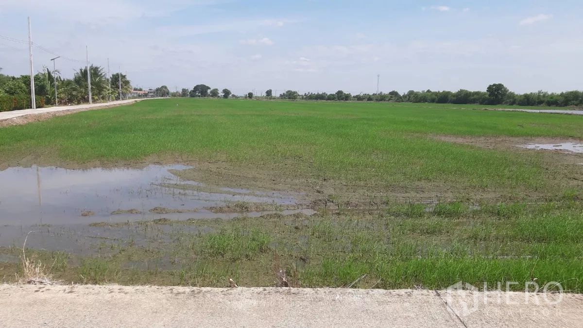 Land for sale in Samut Prakan - Flat green field with shallow water and a concrete verge under a blue sky.