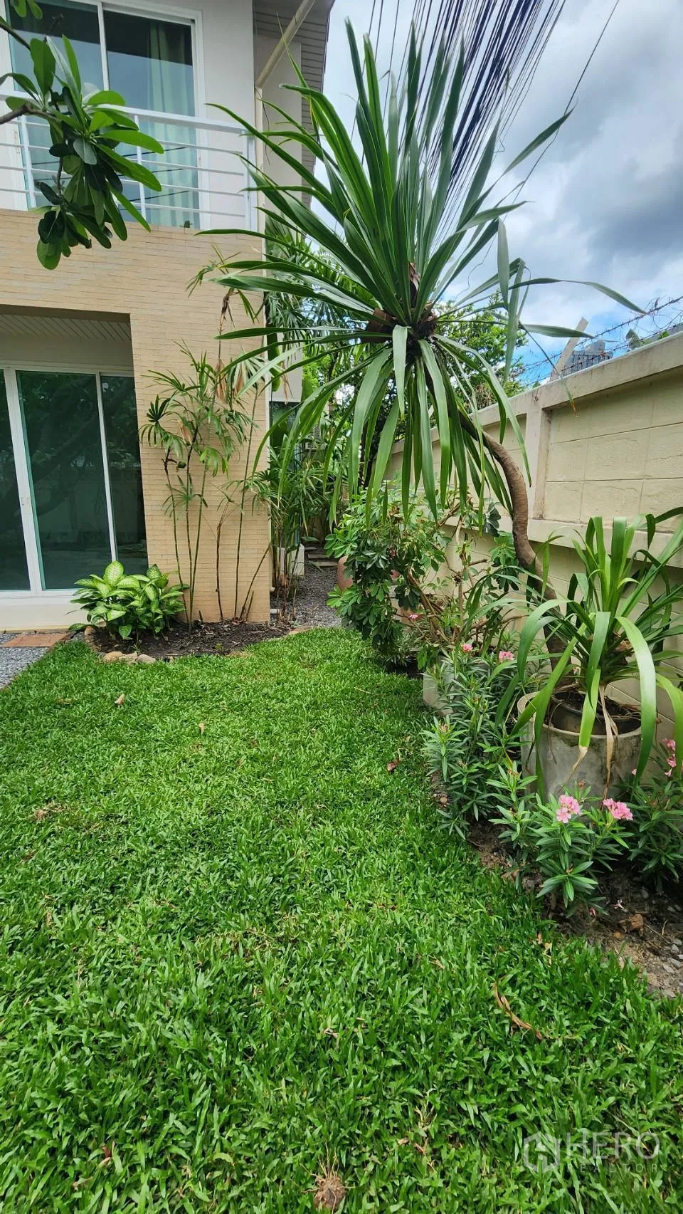 Detached House for rent in Watthana, Bangkok - Lush private garden with lawn, tropical plants, and sliding doors of the house.