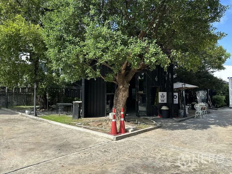 Retail Space for rent in Phra Khanong, Bangkok - Black-clad retail building under a large tree with paved forecourt.