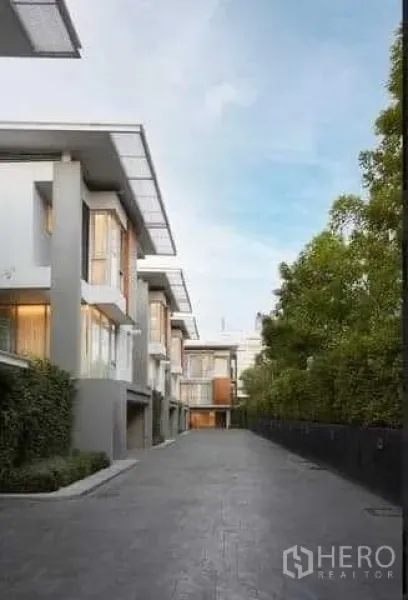 Townhouse for rent in Huai Khwang, Bangkok - Private driveway lined with contemporary townhouses and mature trees in a quiet gated enclave.