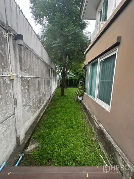 บ้าน ขายในPrawet, Bangkok - สนามหญ้าข้างบ้านแนวยาวติดกำแพงโครงการ.