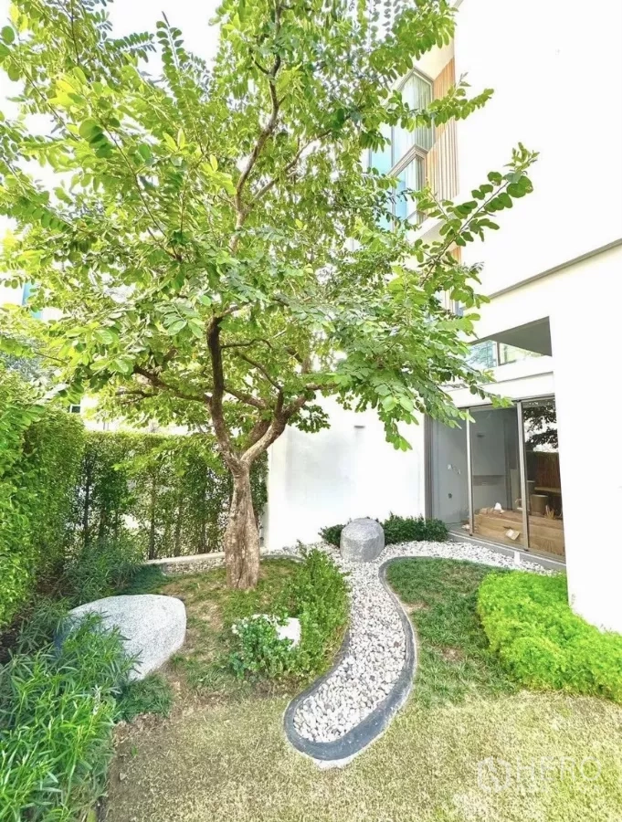 Detached House for rent in Saphan Sung, Bangkok - Private landscaped garden with mature tree, pebble pathway, hedges and lawn.